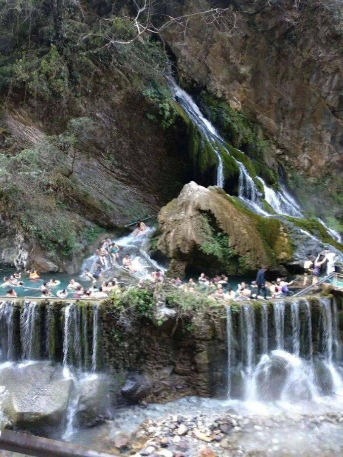 虫虫助手下载